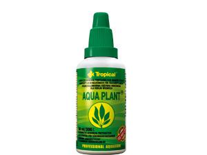  Tropical Aqua Plant 30 