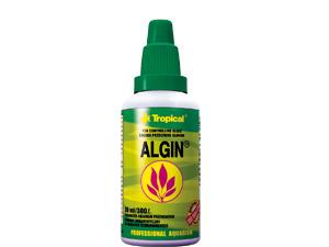 Tropical Algin 100 