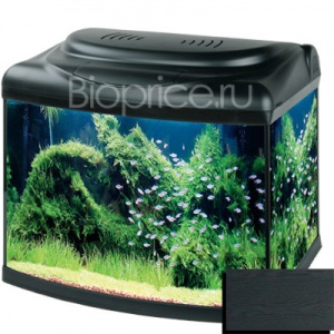 �������� Hailea 60 � A50B ������