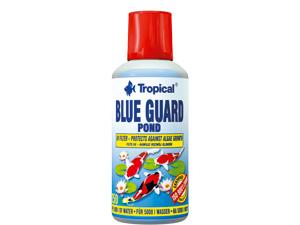    Tropical Blue Guard Pond 2 